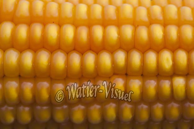 0921D892
