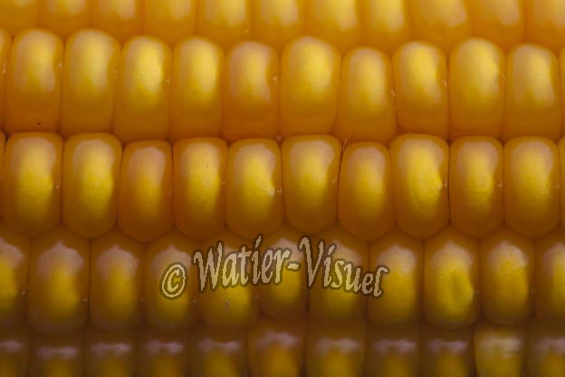 0921D897