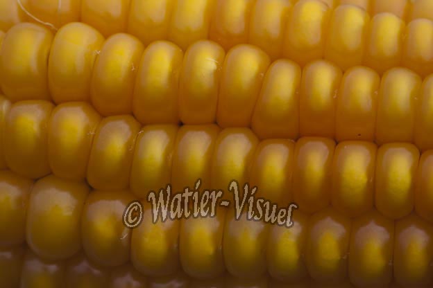 0921D901