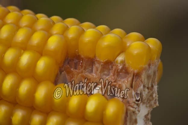 0921D919