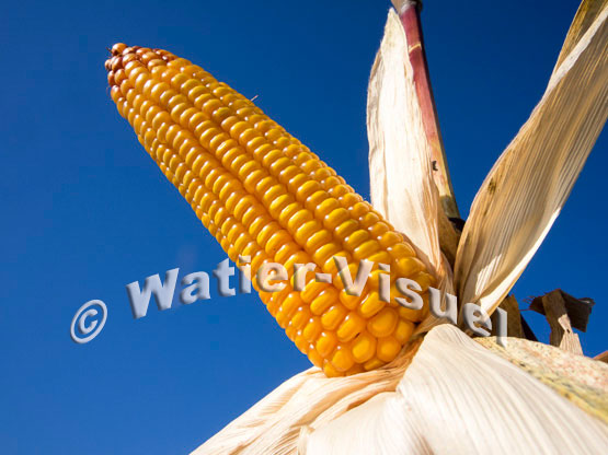 1101D052