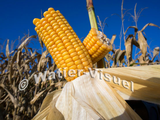 1101D057