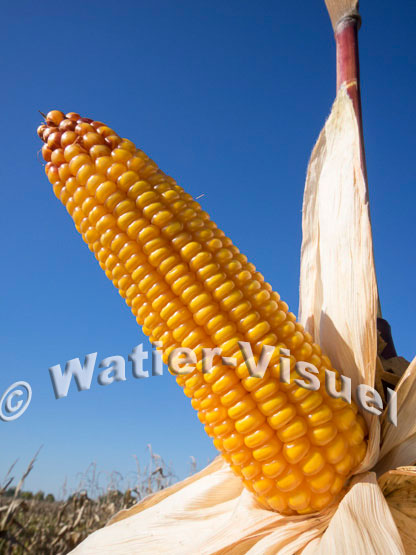 1101D075