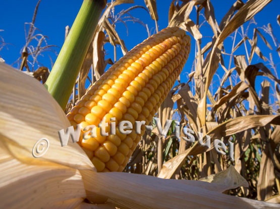 1101D076