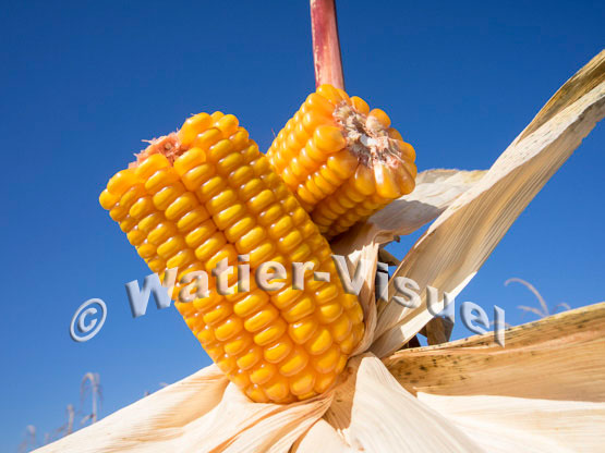 1101D087