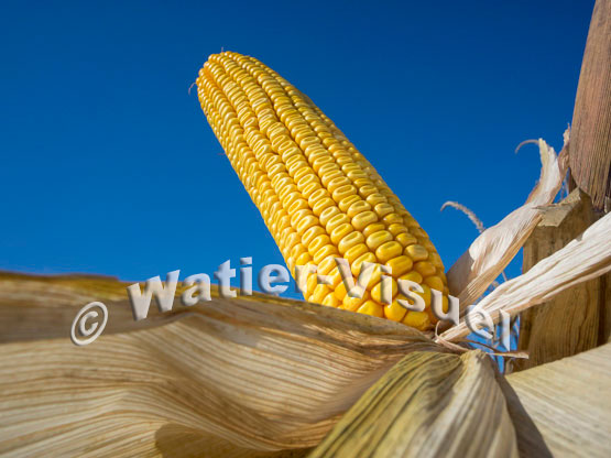 1101D102