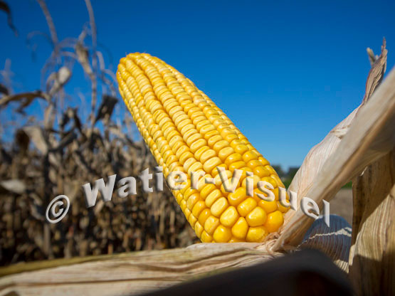 1101D108