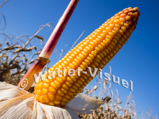 1101D134