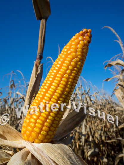 1101D148