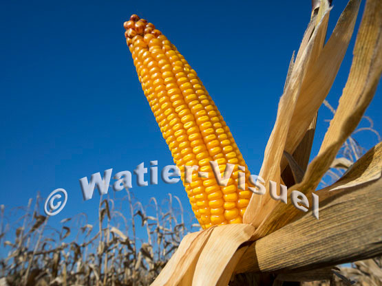 1101D153