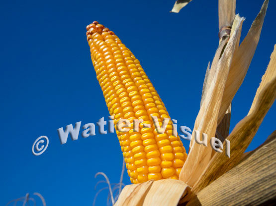 1101D154