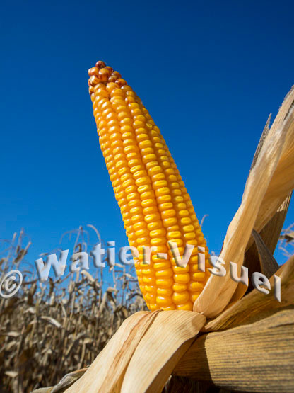 1101D157