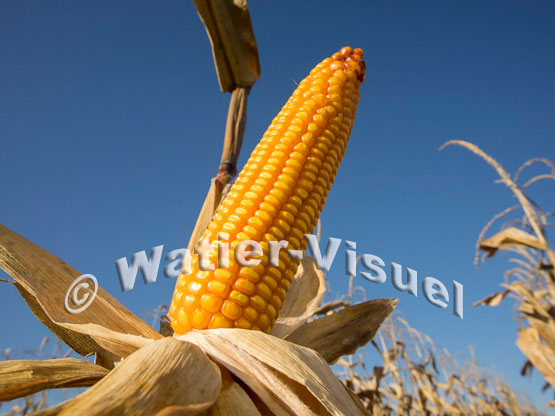 1101D159