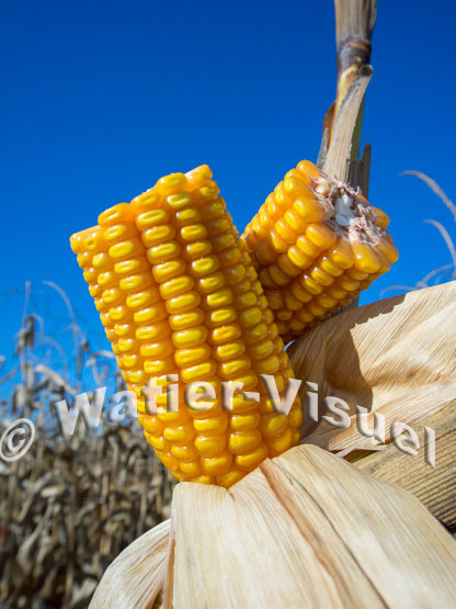 1101D164