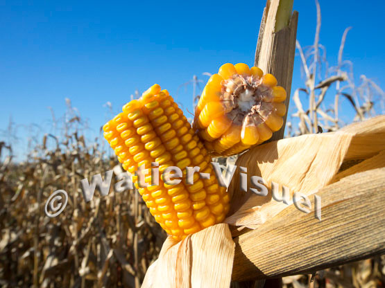 1101D165