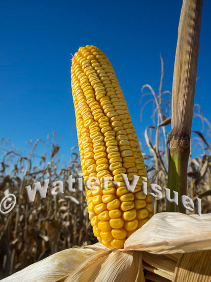 1101D192