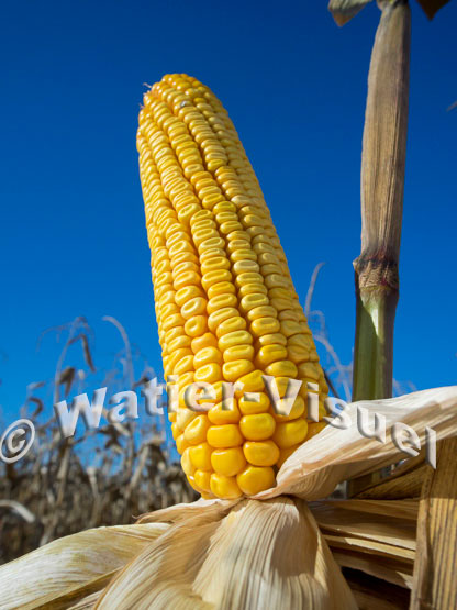1101D193