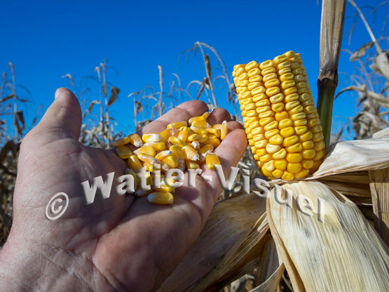 1101D221