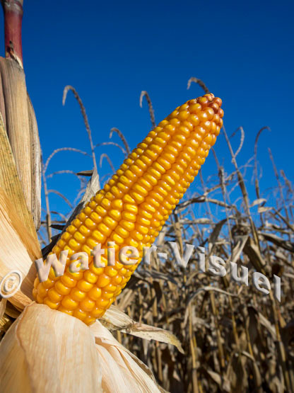 1101D228