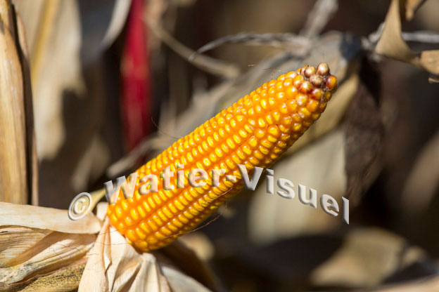 1101D287