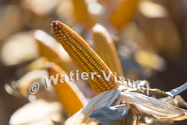 1101D322