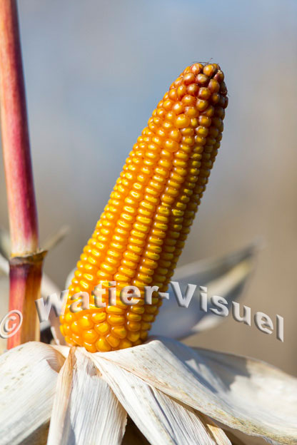 1101D349