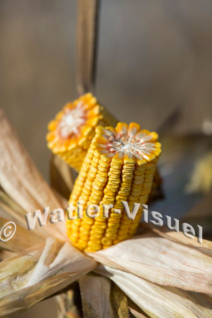 1101D374