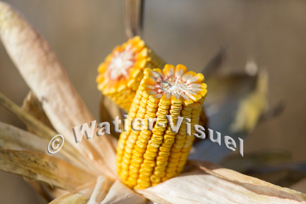1101D375