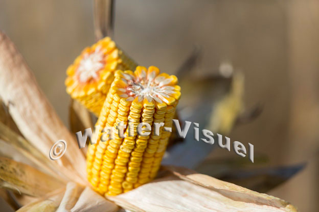 1101D376