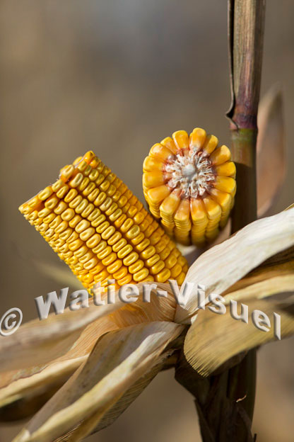 1101D378