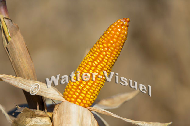 1101D400