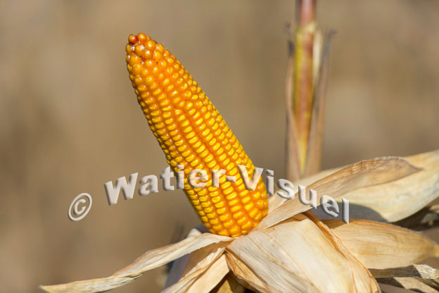 1101D402