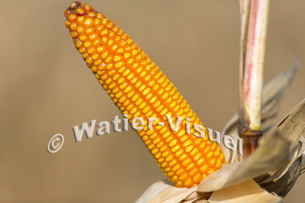1101D609