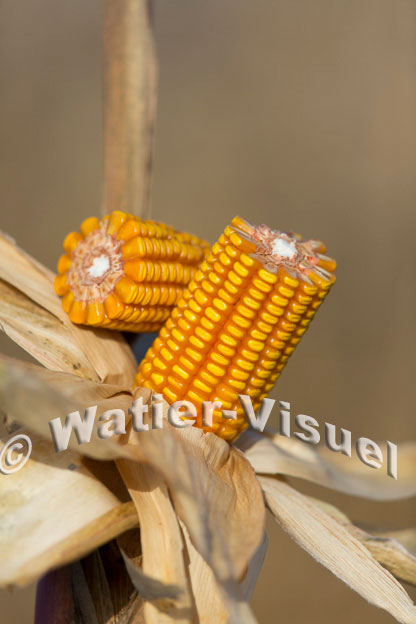 1101D614