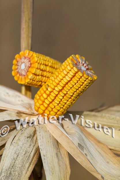 1101D622