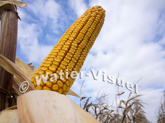 1101D649
