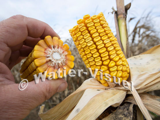 1101D653
