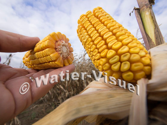 1101D656
