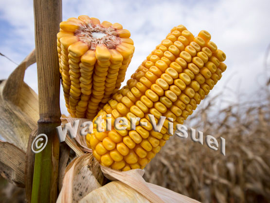 1101D659