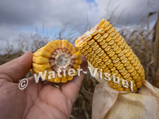 1101D670