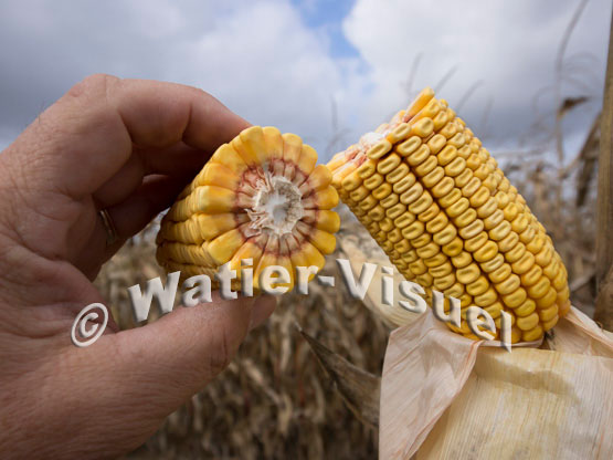 1101D671