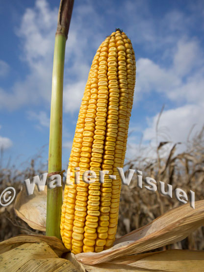 1101D676
