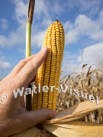 1101D679
