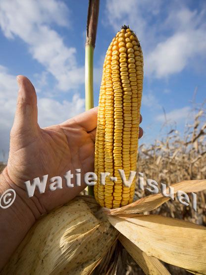 1101D680