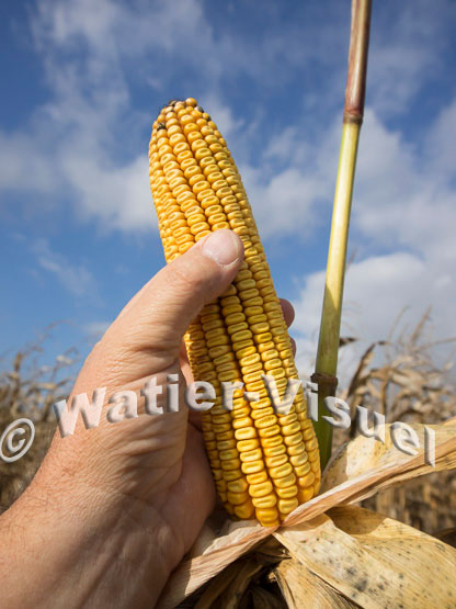 1101D684