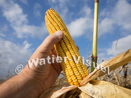 1101D685