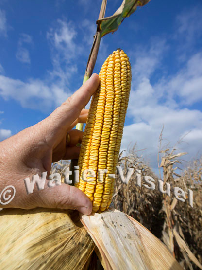 1101D689