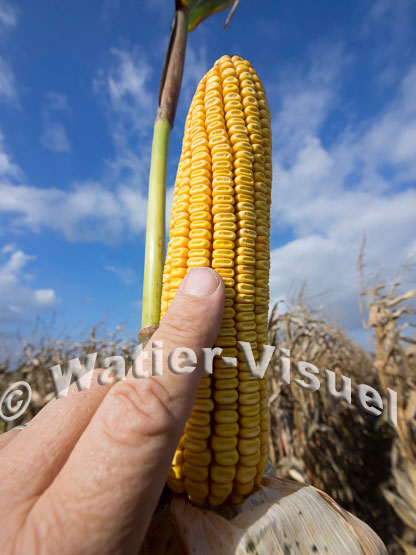 1101D690