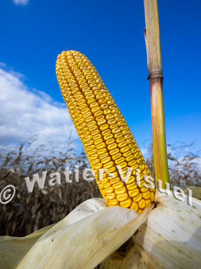 1101D701