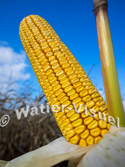 1101D702